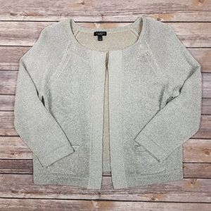 Talbots shimmer sparkle cardigan sweater